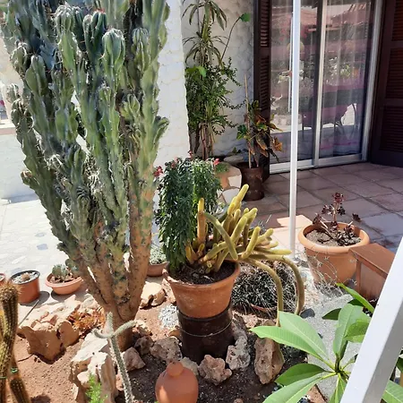 Double With A Garden View