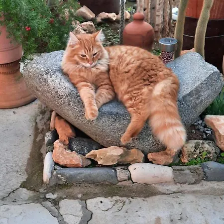 Double With A Garden View *