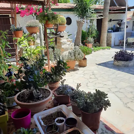 Double With A Garden View Affittacamere Limisso